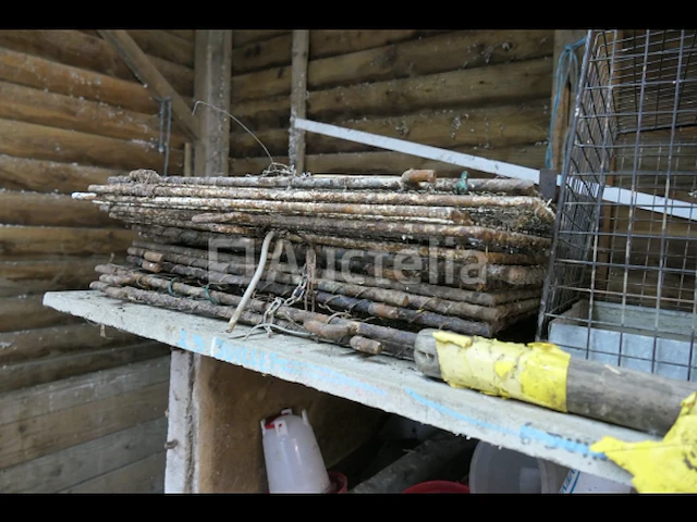 Konijnenhokken gemaakt van verwijderbare betonplaat - afbeelding 5 van  6