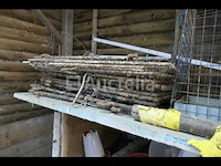 Konijnenhokken gemaakt van verwijderbare betonplaat - afbeelding 5 van  6