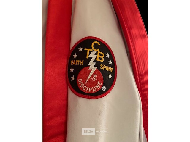 Kopie karatekostuum elvis presley - afbeelding 2 van  5