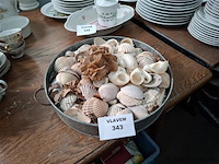 Koraal - afbeelding 1 van  2