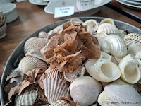 Koraal - afbeelding 2 van  2