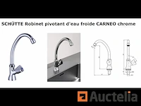 Koudwater draaibare kraan schütte carneo - afbeelding 1 van  1