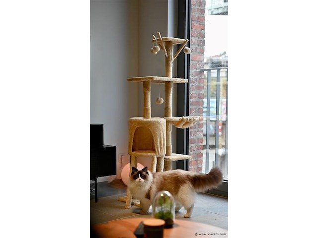 Krabpalen - afbeelding 1 van  4