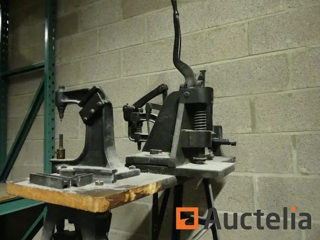Krause oogjes afwerking - afbeelding 7 van  10