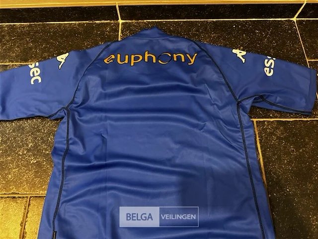 Krc genk wedstrijdshirt home seizoen 2002/2003 - afbeelding 4 van  5