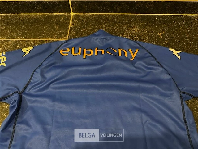 Krc genk wedstrijdshirt home seizoen 2002/2003 - afbeelding 5 van  6