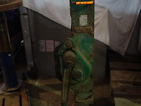 Krik (keldervijs) - afbeelding 1 van  2