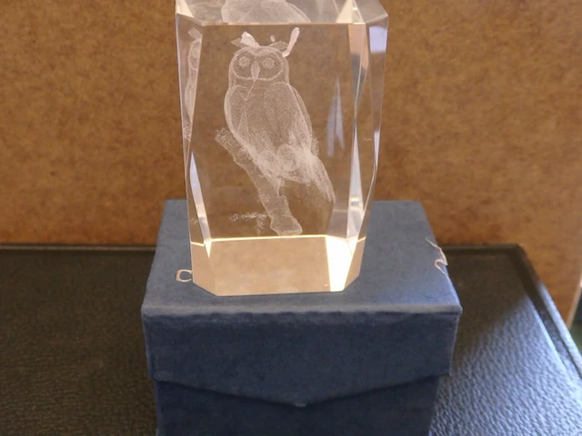 Kristal hologram uil in doos - afbeelding 1 van  1