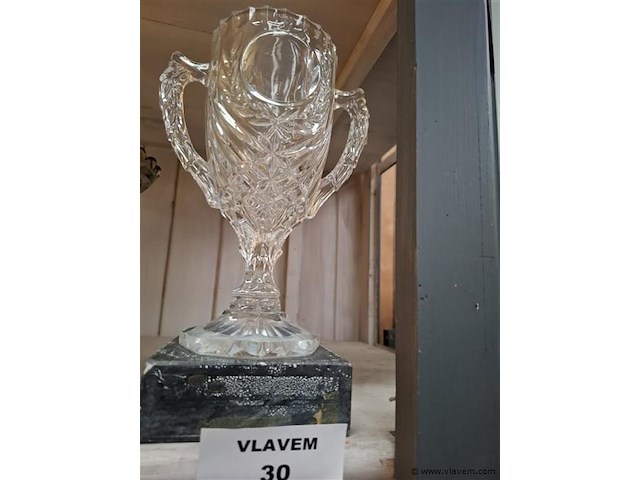 Kristal trofee - afbeelding 1 van  1