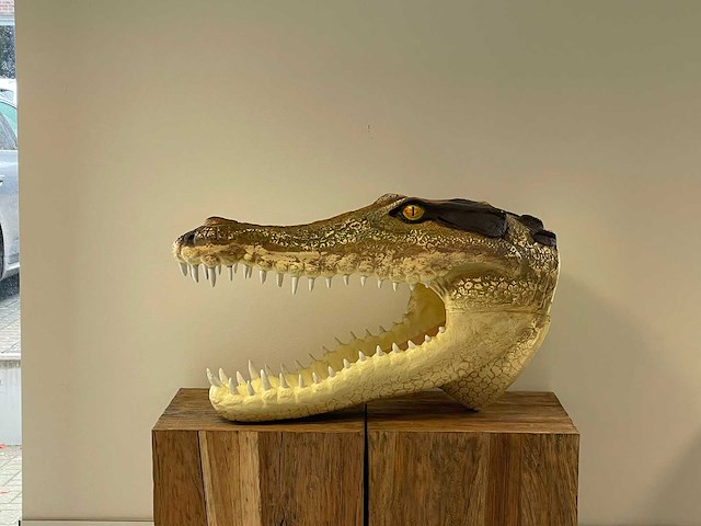 Krokodillenkop h46cm x l78cm original - afbeelding 2 van  4