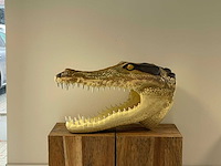 Krokodillenkop h46cm x l78cm original - afbeelding 2 van  4