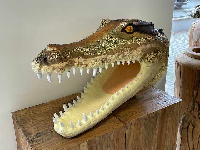 Krokodillenkop h46cm x l78cm original - afbeelding 4 van  4