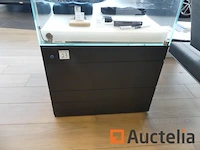 Kubuskast vitrine - afbeelding 3 van  5