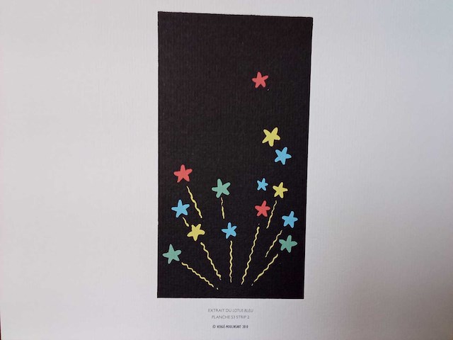 Kuifje blauwe lotus - afbeelding 1 van  1