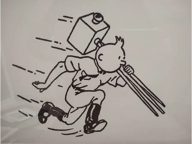 Kuifje met camera - afbeelding 1 van  3