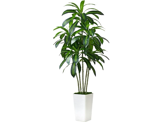 Kunst dracaena boom - afbeelding 1 van  3