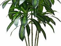 Kunst dracaena boom - afbeelding 1 van  3
