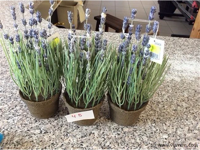 Kunstbloemen - afbeelding 2 van  2