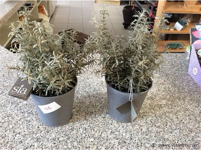 Kunstbloemen - afbeelding 1 van  2