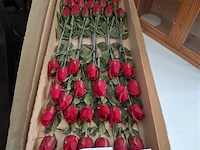 Kunstbloemen - afbeelding 1 van  1