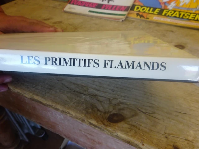 Kunstboek les primitives flamands - afbeelding 1 van  2