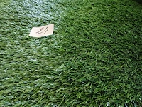 Kunstgras - afbeelding 2 van  3