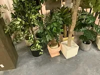 Kunstof planten in pot (14x) - afbeelding 3 van  7