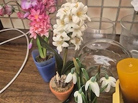 Kunstplanten en decoratie - afbeelding 2 van  4