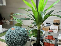 Kunstplanten met pot - afbeelding 2 van  4