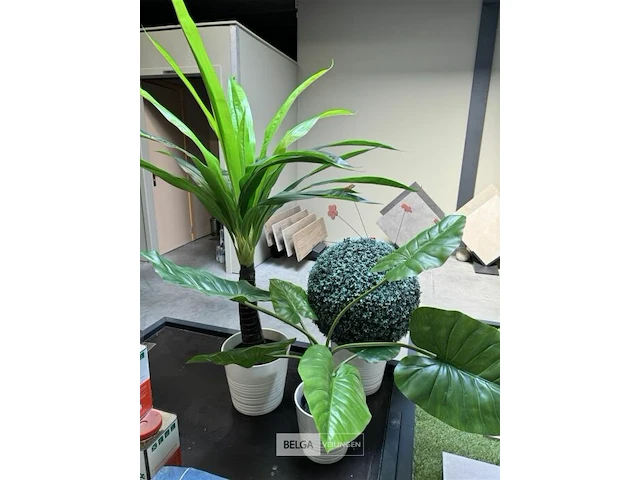 Kunstplanten met pot - afbeelding 4 van  4