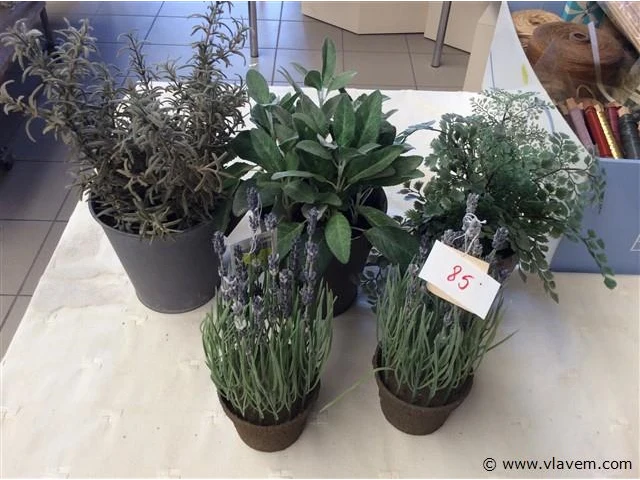 Kunstplanten - afbeelding 1 van  2