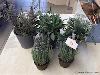 Kunstplanten - afbeelding 1 van  2