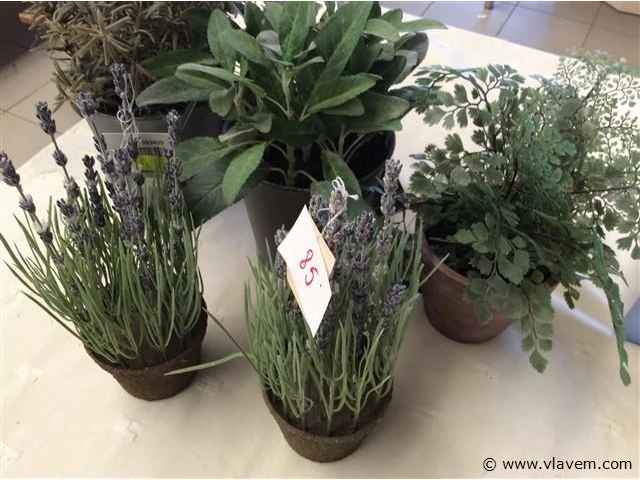 Kunstplanten - afbeelding 2 van  2