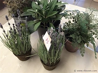 Kunstplanten - afbeelding 2 van  2