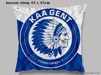 Kussensloop - afbeelding 1 van  1