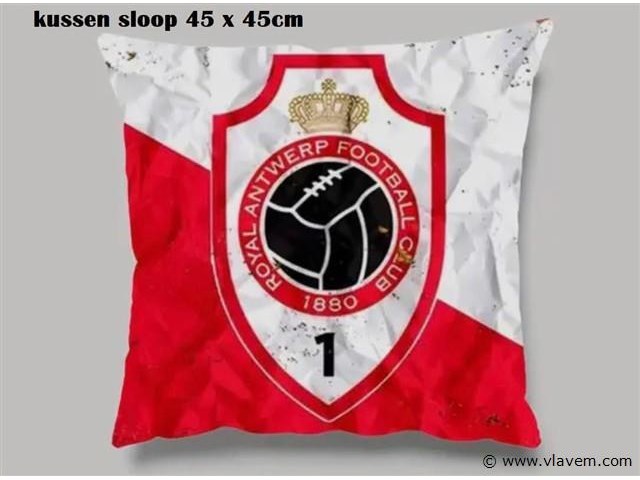 Kussensloop - afbeelding 1 van  1