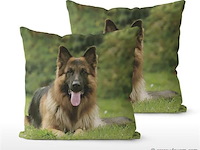 Kussensloop - afbeelding 1 van  1