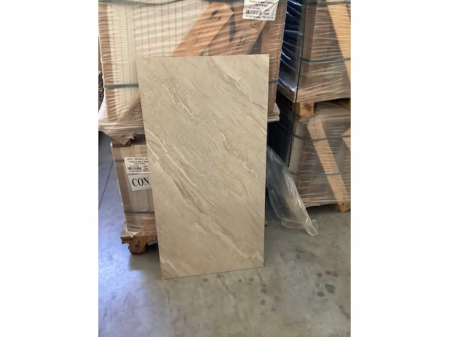 Kutahya faselis bone mat 60x120 cm tegel 120,96 m² - afbeelding 3 van  4