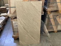 Kutahya faselis bone mat 60x120 cm tegel 60,48 m² - afbeelding 1 van  4