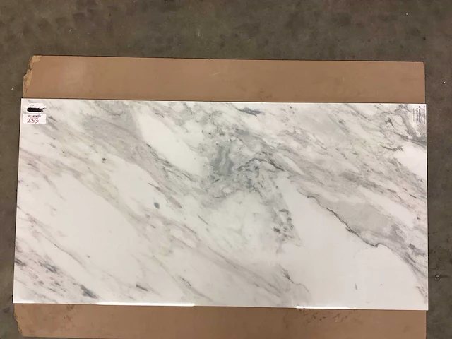 Kutahya flora gepolijst 60x120 cm tegel 60,48 m² - afbeelding 9 van  11