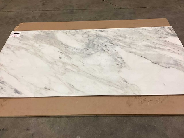 Kutahya flora gepolijst 60x120 cm tegel 60,48 m² - afbeelding 10 van  11