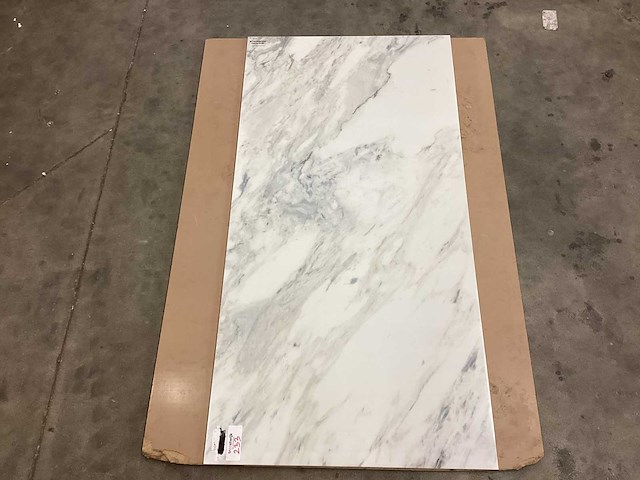 Kutahya flora gepolijst 60x120 cm tegel 60,48 m² - afbeelding 2 van  11