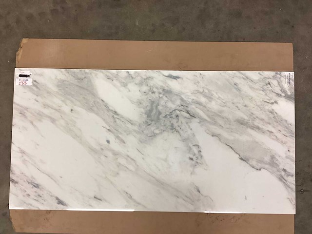 Kutahya flora gepolijst 60x120 cm tegel 60,48 m² - afbeelding 9 van  11