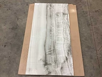 Kutahya opal grey gepolijst 60x120 cm tegel 60,48 m² - afbeelding 5 van  10