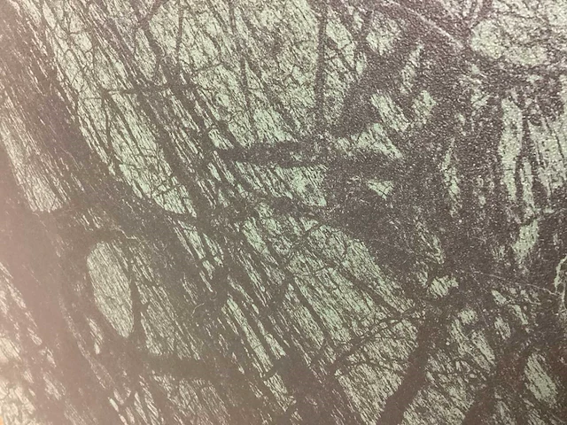 Kutahya verde lappato 80x160 cm xxl tegel 51,2 m² - afbeelding 11 van  13