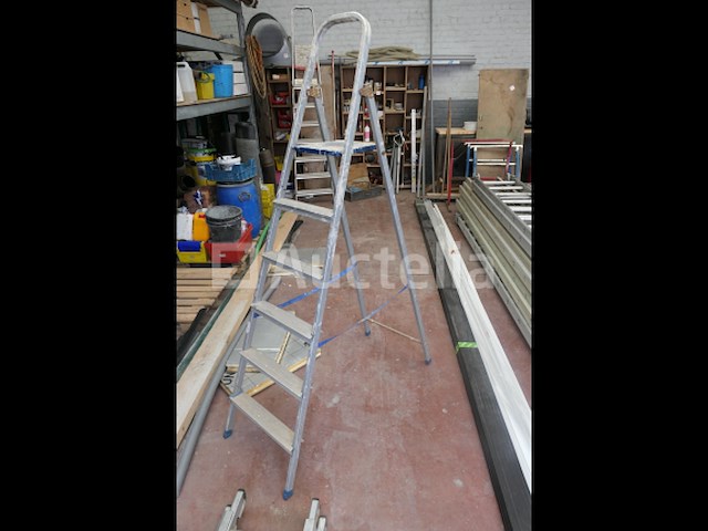 Ladder en ladder met dubbel element - afbeelding 5 van  6
