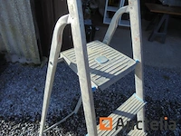 Ladder met 5 treden