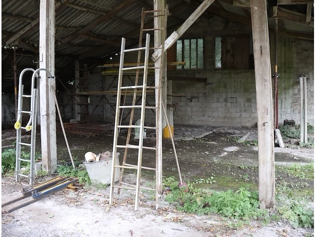 Ladder (x2) - afbeelding 1 van  2
