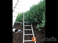 Ladder