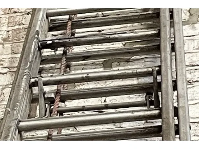 Ladders - afbeelding 5 van  5